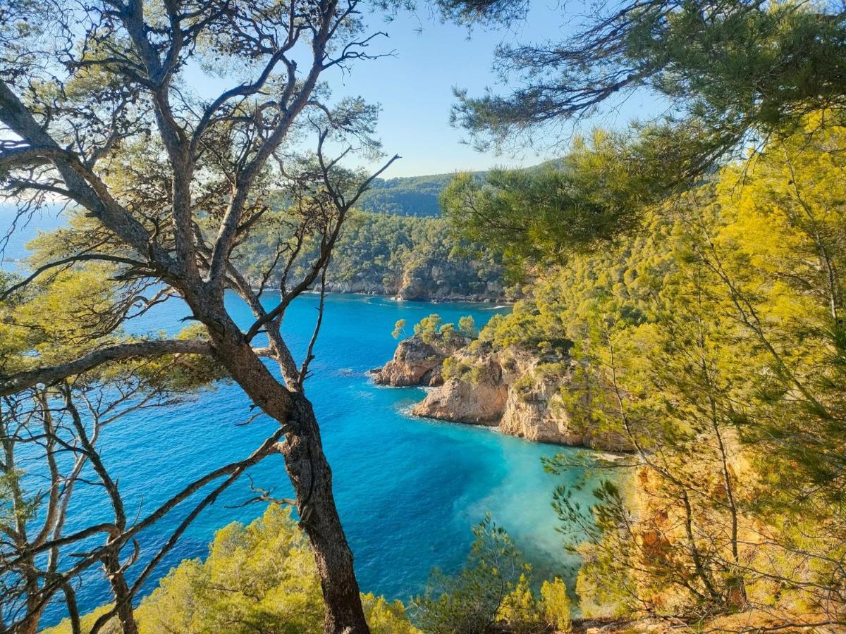 T3 Saint Cyr Sur Mer 83270 Kültér fotó